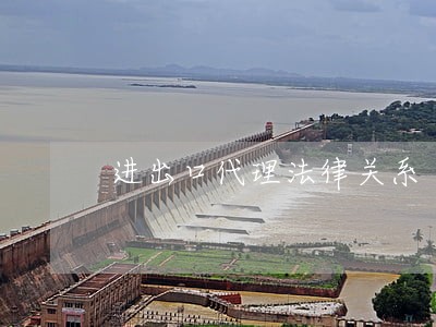 进出口代理法律关系