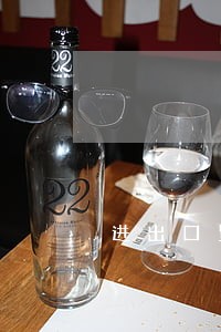 进出口贸易公司 进出口贸易公司