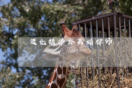 进化镇涉外离婚律师 进化镇涉外离婚律师