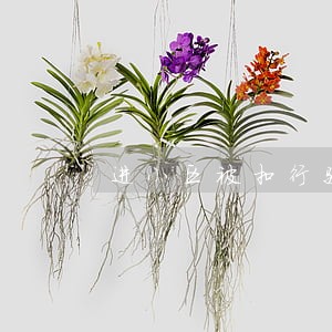 进小区被扣行驶证属违法吗 进小区被扣行驶证属违法吗