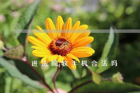 进法院收手机合法吗