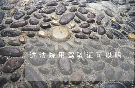 进法院用驾驶证可以吗 进法院用驾驶证可以吗