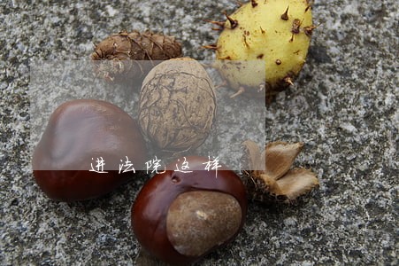 进法院这样 进法院这样