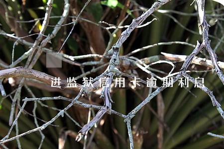 进监狱信用卡逾期利息 进监狱信用卡逾期利息