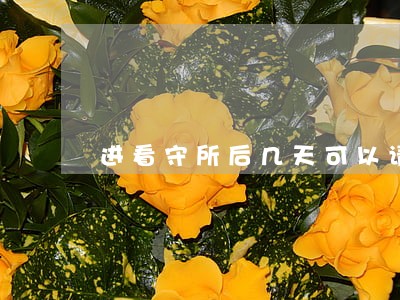 进看守所后几天可以请律师 进看守所后几天可以请律师