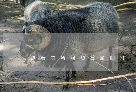 进看守所网贷算逾期吗 进看守所网贷算逾期吗