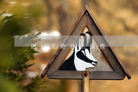 进行土地违法巡查 进行土地违法巡查