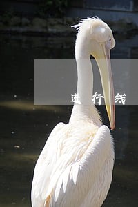 进行线下交易违法吗