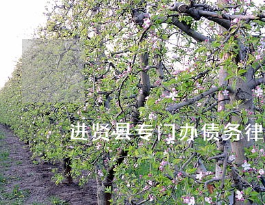 进贤县专门办债务律师找谁 进贤县专门办债务律师找谁