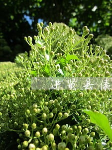 进贤县债权转让律师费用用心做事 进贤县债权转让律师费用用心做事
