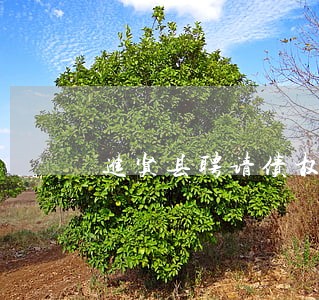 进贤县聘请债权债务律师 进贤县聘请债权债务律师