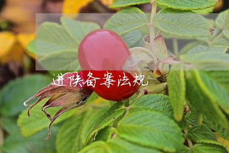进陕备案法规 进陕备案法规