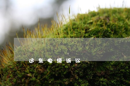 远东电缆诉讼
