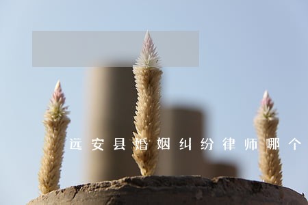 远安县婚姻纠纷律师哪个好 远安县婚姻纠纷律师哪个好