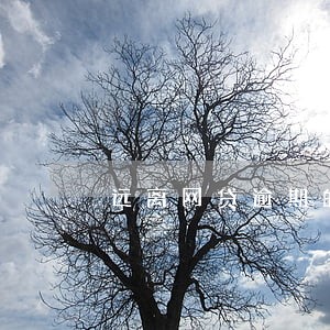 远离网贷逾期的人 远离网贷逾期的人