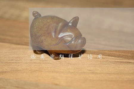 远离逾期保护信用 远离逾期保护信用