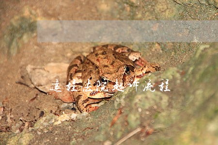 远程法院起诉流程 远程法院起诉流程