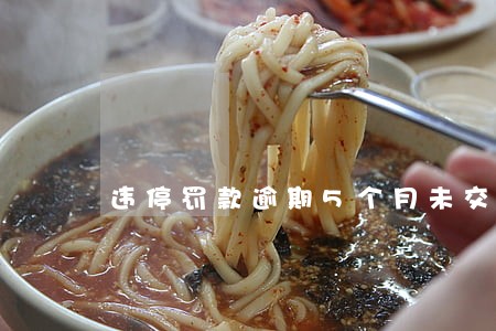违停罚款逾期5个月未交 违停罚款逾期5个月未交