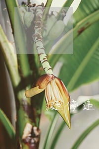 违停违法行为原因及危害分析 违停违法行为原因及危害分析
