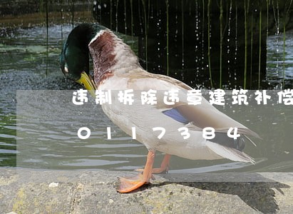 违制拆除违章建筑补偿标准/2023020117384