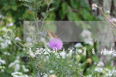违反公司法第148条起诉 违反公司法第148条起诉