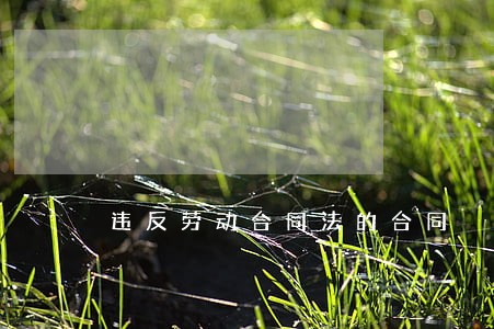 违反劳动合同法的合同 违反劳动合同法的合同