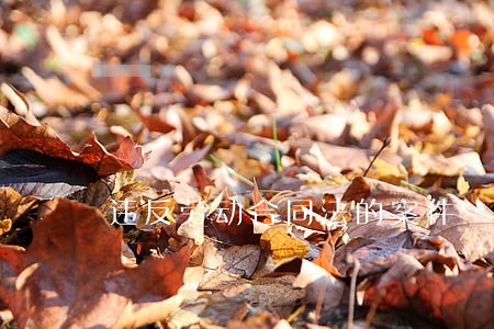 违反劳动合同法的案件 违反劳动合同法的案件