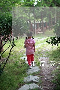 违反劳动合同法第8条 违反劳动合同法第8条