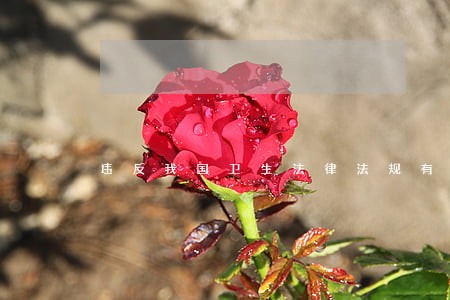 违反我国卫生法律法规有哪些责任 违反我国卫生法律法规有哪些责任