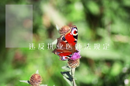 违反执业医师法规定 违反执业医师法规定