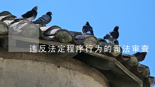 违反法定程序行为的司法审查 违反法定程序行为的司法审查