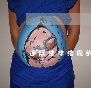 违反法律法规的定义和类别 违反法律法规的定义和类别