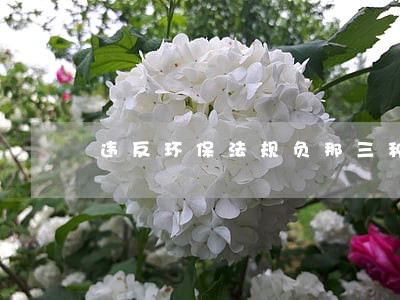 违反环保法规负那三种责任 违反环保法规负那三种责任