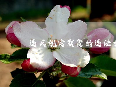 违反规定载货的违法代码