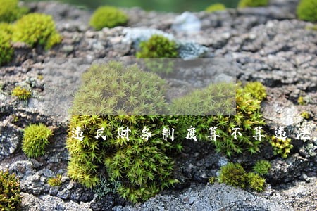 违反财务制度算不算违法