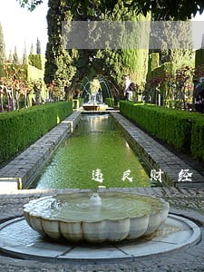 违反财经法规向谁举报 违反财经法规向谁举报