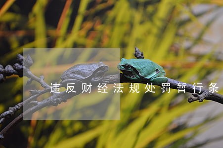 违反财经法规处罚暂行条例 违反财经法规处罚暂行条例