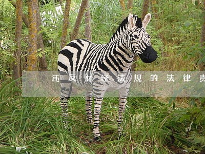 违反财经法规的法律责任 违反财经法规的法律责任