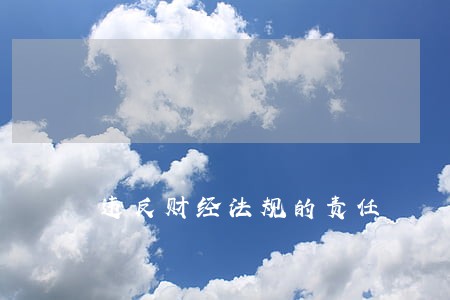 违反财经法规的责任