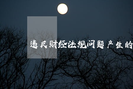违反财经法规问题产生的原因 违反财经法规问题产生的原因