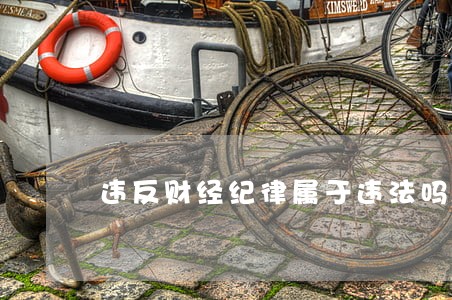 违反财经纪律属于违法吗 违反财经纪律属于违法吗