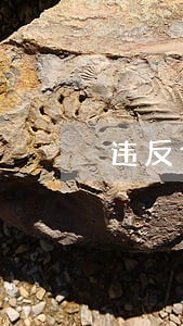 违反食品安全的法律责任专区 违反食品安全的法律责任专区