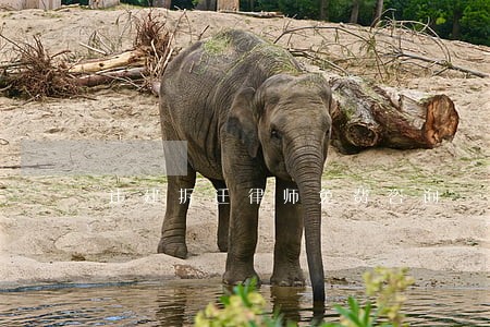 违建拆迁律师免费咨询 违建拆迁律师免费咨询