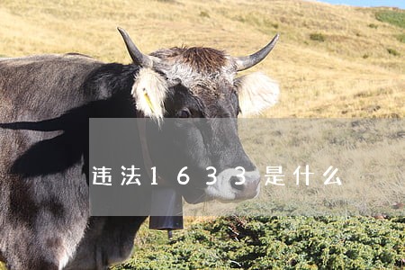 违法1633是什么
