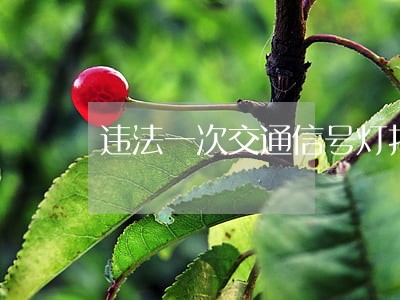 违法一次交通信号灯扣几分 违法一次交通信号灯扣几分
