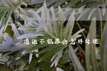 违法不犯罪会怎样处理