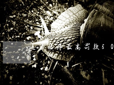 违法临停最高罚款500元 违法临停最高罚款500元