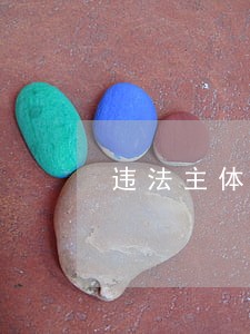 违法主体分立后处罚当事人的确定 违法主体分立后处罚当事人的确定