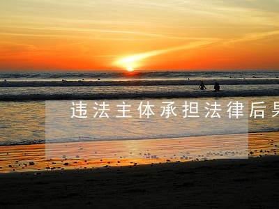 违法主体承担法律后果