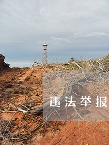违法举报电话公布 违法举报电话公布